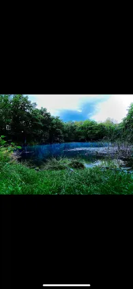 Großer Sperber (Ruppichteroth)-2