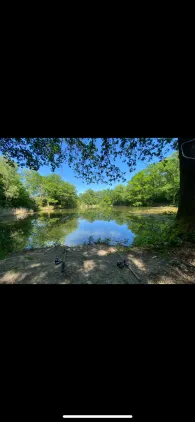 Großer Sperber (Ruppichteroth)-3