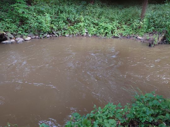 Alsenz (Oberndorf)-3