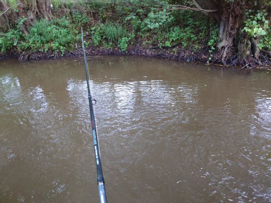 Alsenz (Oberndorf)-2