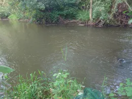 Alsenz (Oberndorf)-1