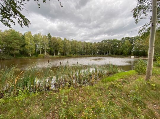 Aero-Teich (Hodenhagen)-2