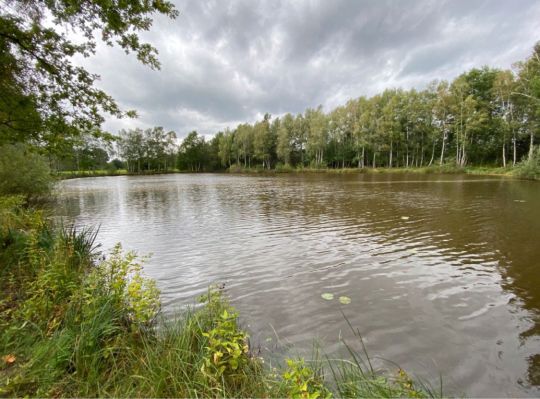 Aero-Teich (Hodenhagen)-1