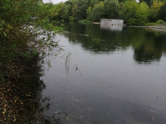 Umgehungskanal Halle-3