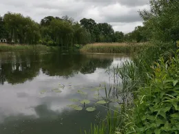 Mühlenteich (Rehna)-3