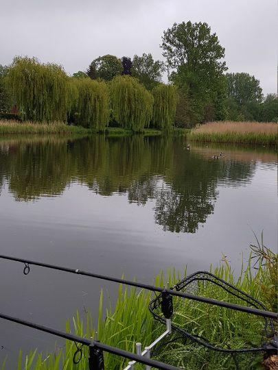 Mühlenteich (Rehna)-2