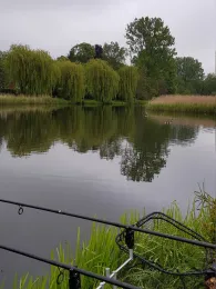 Mühlenteich (Rehna)-2