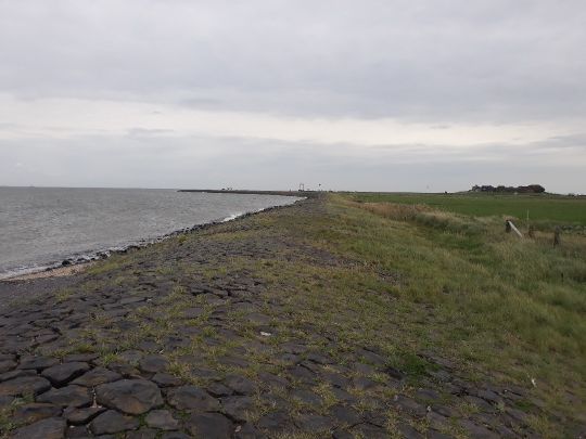 Nordsee (Hallig Hooge) angeln