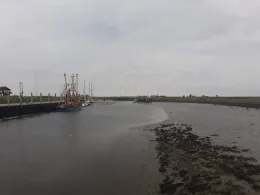 Nordsee (Hallig Hooge)-0