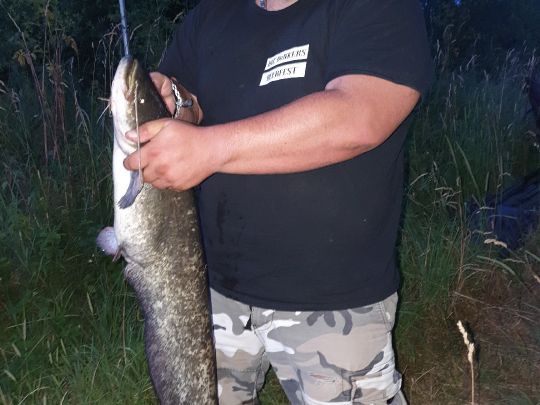 Main (Lichtenfels)-3