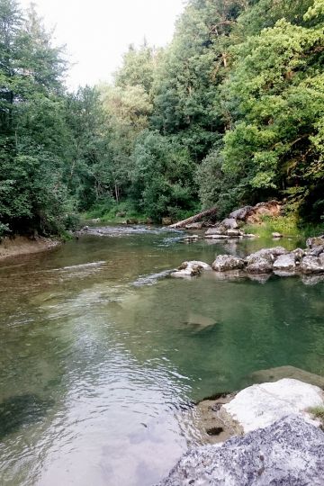 Leitzach (Feldkirchen-Westerham)-3