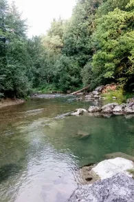 Leitzach (Feldkirchen-Westerham)-3