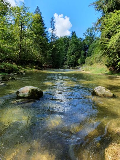 Leitzach (Feldkirchen-Westerham)