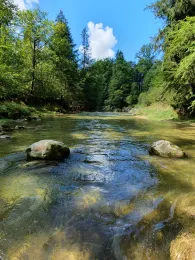 Leitzach (Feldkirchen-Westerham)