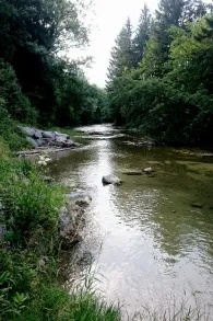 Leitzach (Feldkirchen-Westerham)-2