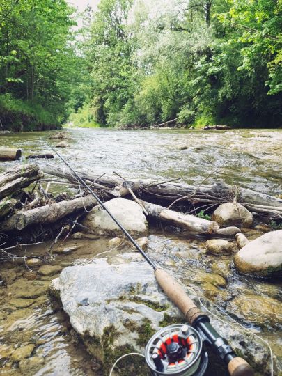 Leitzach (Feldkirchen-Westerham)-1