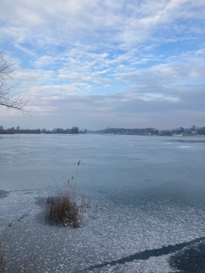 Sportsee Nr. 5 (Burgheim)-1