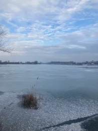 Sportsee Nr. 5 (Burgheim)-1