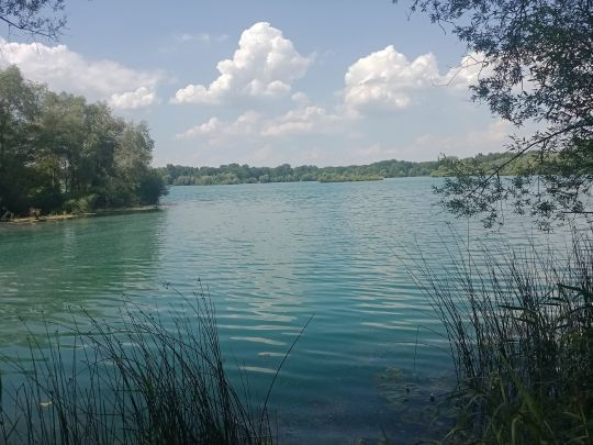 Sportsee Nr. 5 (Burgheim)-4