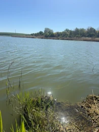 Bindersee (Rollsdorf)-2