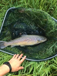 Haslach (Burghaslach)