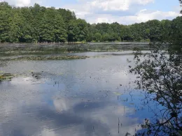 Heideteich (Reddern)-2