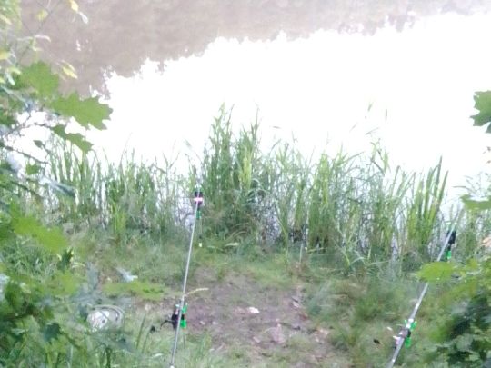 Heideteich (Reddern)-3