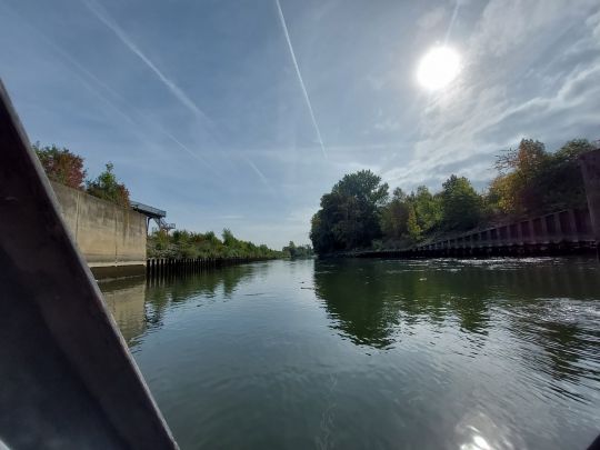 Donau (Regensburg)-0