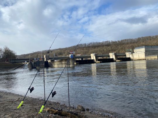 Donau (Regensburg)-2