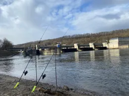 Donau (Regensburg)-2