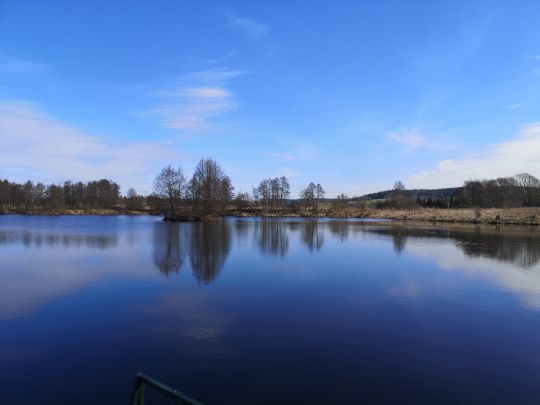 Baggersee Au (FV Weiden) angeln