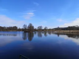 Baggersee Au (FV Weiden)-3