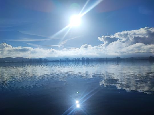 Angeln in Reichenau