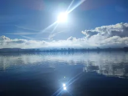 Bodensee (Zeller See/Untersee)-1