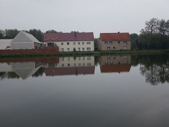 Dorfteich Borna-1