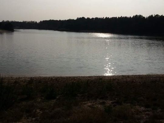Erikasee (Gifhorn)-1