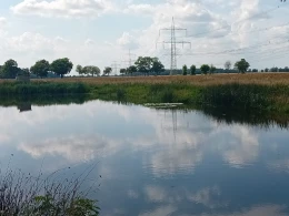 Werftgraben (Schönewalde)-0