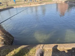 Teichwirtschaft Lehmann (Aerzen)-1