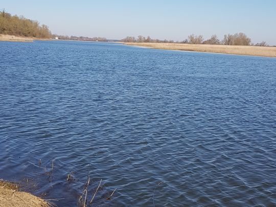 Dalchauer Elbnebenarm