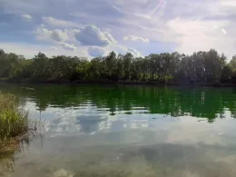 Birkensee (Oberstimm)-1