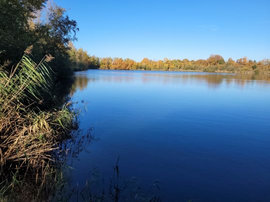Röhrser Teich ALLE ANGELN