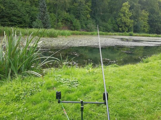 Teichanlage Dietlas-1