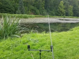 Teichanlage Dietlas-1