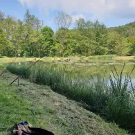 Teichanlage Dietlas-3