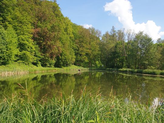 Teichanlage Dietlas-2