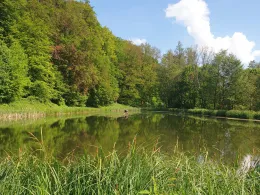 Teichanlage Dietlas-2