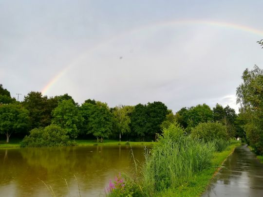 Freizeitsee Münchsteinach-1