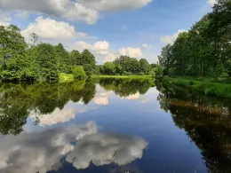 Großer Mühlweiher (Göppmannsbühl)
