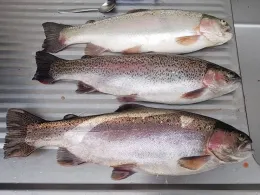 Angelzentrum Wiehl-4