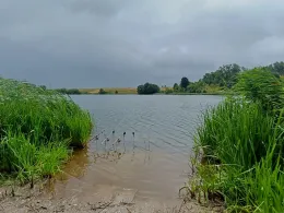 Krummer See (Friedrichswalde)-2